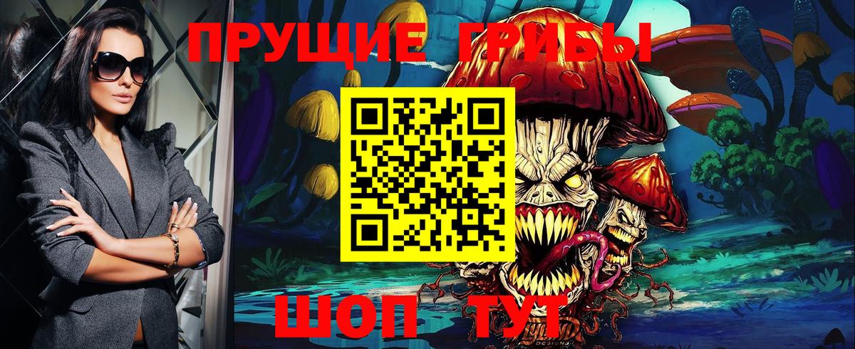 Анжеро-Судженск  Псилоцибиновые грибы мицелий  Вход с VPN  купить наркотик  Псилоцибиновые грибы GOLDEN TEACHER 