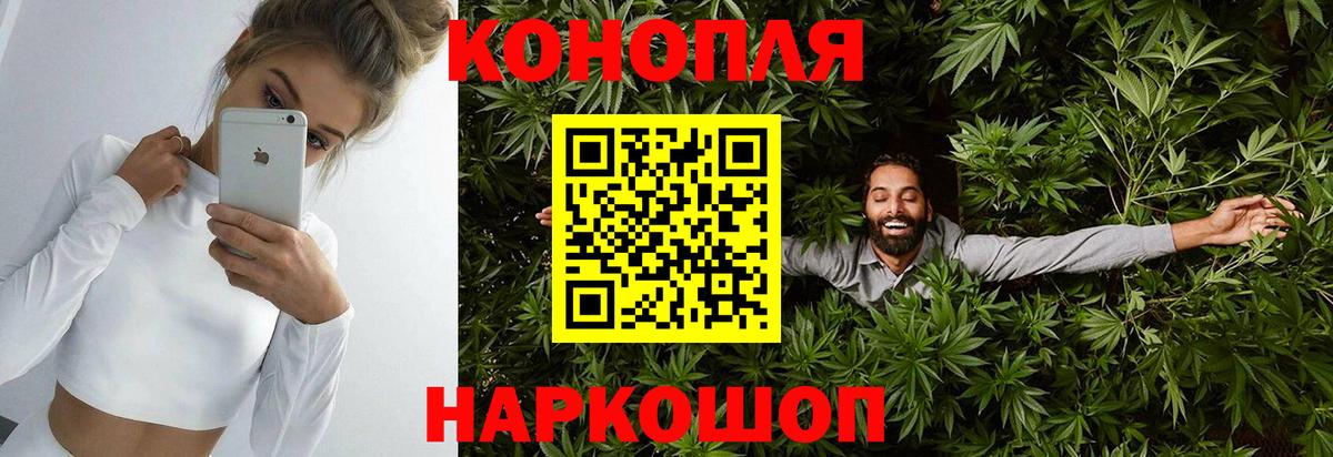 Бошки марихуана тримм  Конопля Ganja  Анжеро-Судженск  Вход с VPN  Канабис ГИДРОПОН  Каннабис семена 